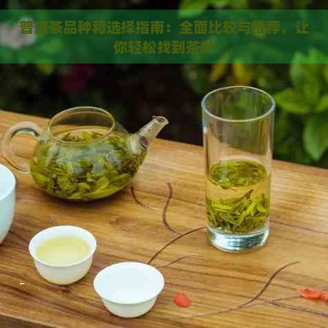 普洱茶品种和选择指南：全面比较与推荐，让你轻松找到茶叶