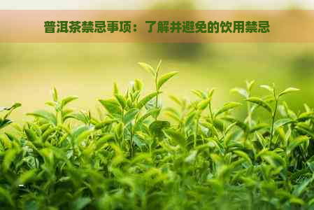 普洱茶禁忌事项：了解并避免的饮用禁忌