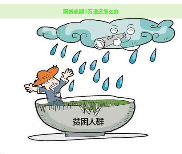 网贷逾期1万没还怎么办