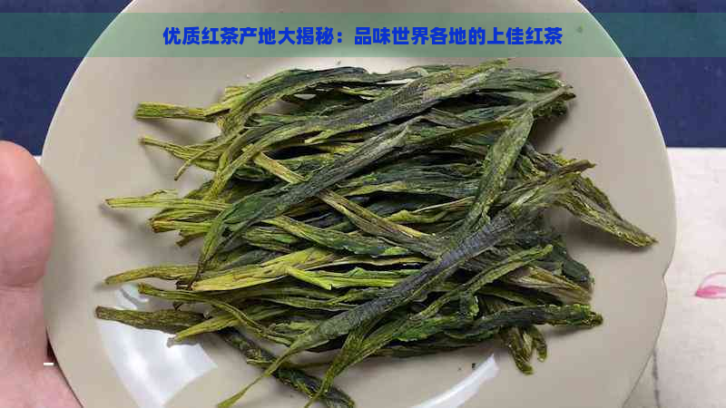 优质红茶产地大揭秘：品味世界各地的上佳红茶