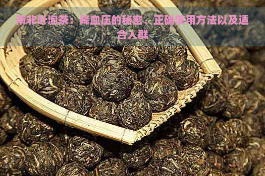 南非叶泡茶：降血压的秘密、正确使用方法以及适合人群