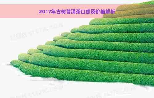 2017年古树普洱茶口感及价格解析