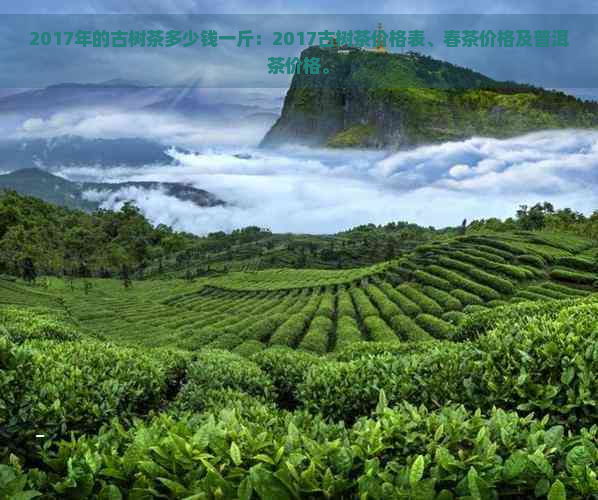 2017年的古树茶多少钱一斤：2017古树茶价格表、春茶价格及普洱茶价格。