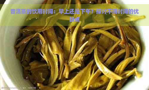 普洱茶的饮用时间：早上还是下午？探讨不同时间的优缺点