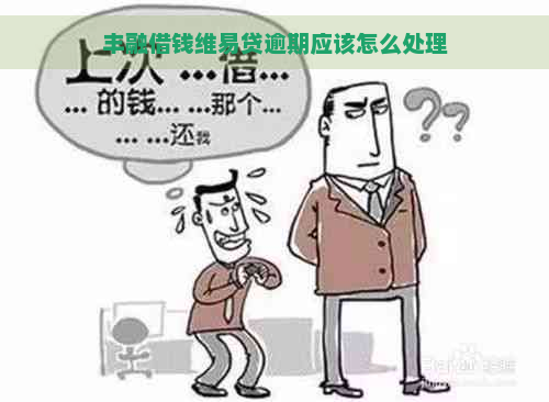 丰融借钱维易贷逾期应该怎么处理