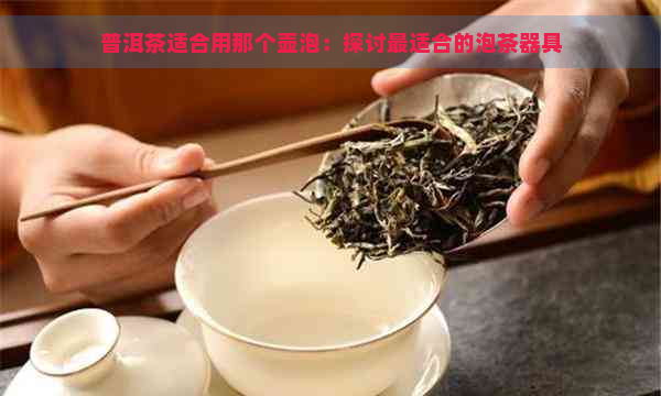 普洱茶适合用那个壶泡：探讨最适合的泡茶器具