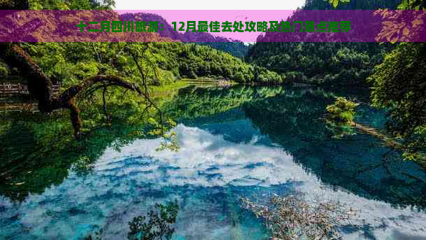 十二月四川旅游：12月更佳去处攻略及热门景点推荐