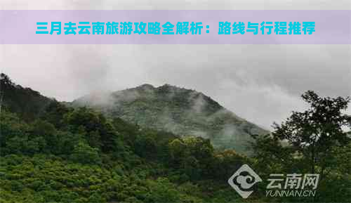 三月去云南旅游攻略全解析：路线与行程推荐