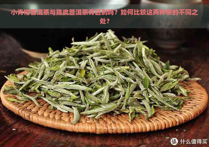 小青柑普洱茶与陈皮普洱茶有区别吗？如何比较这两种茶的不同之处？