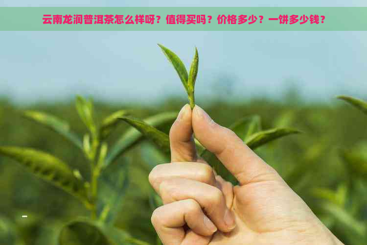 云南龙润普洱茶怎么样呀？值得买吗？价格多少？一饼多少钱？