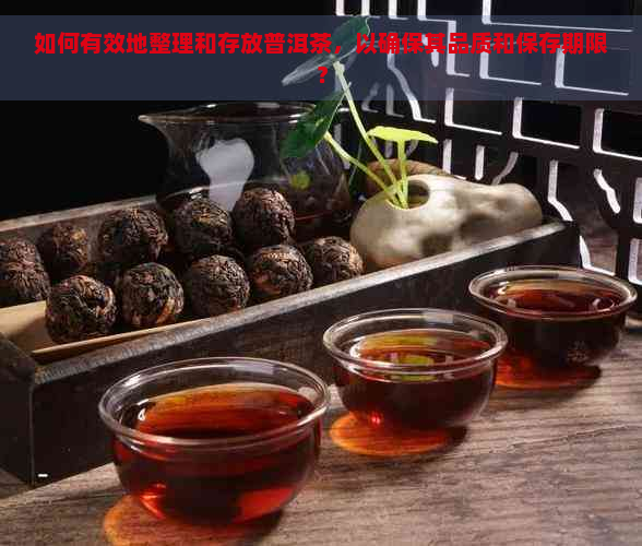 如何有效地整理和存放普洱茶，以确保其品质和保存期限？