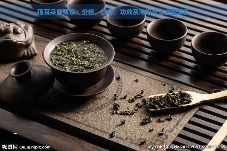 猫耳朵普洱茶：价格，口感，功效及冲泡方法全面解析