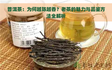 普洱茶：为何越陈越香？老茶的魅力与品鉴方法全解析