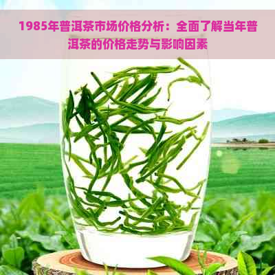 1985年普洱茶市场价格分析：全面了解当年普洱茶的价格走势与影响因素