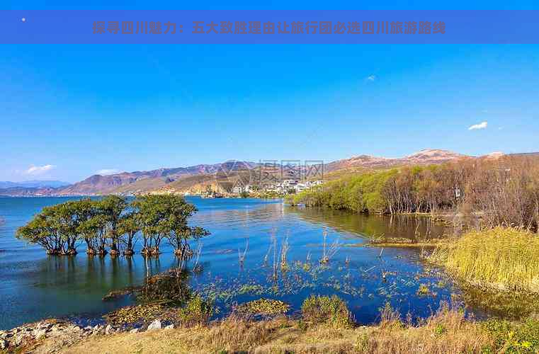 探寻四川魅力：五大致胜理由让旅行团必选四川旅游路线