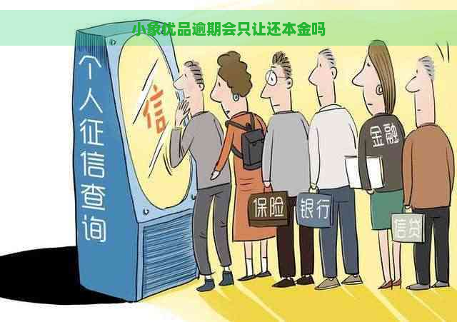 小象优品逾期会只让还本金吗