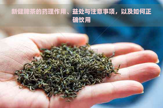 新健脾茶的药理作用、益处与注意事项，以及如何正确饮用