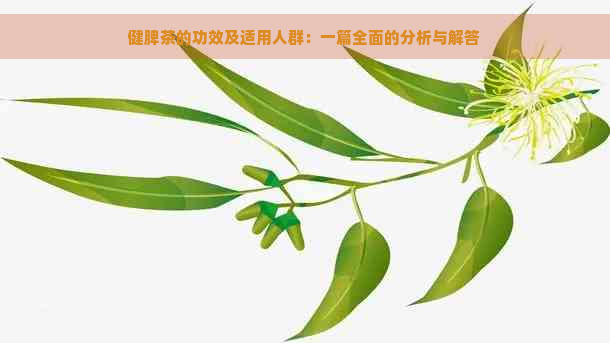 健脾茶的功效及适用人群：一篇全面的分析与解答