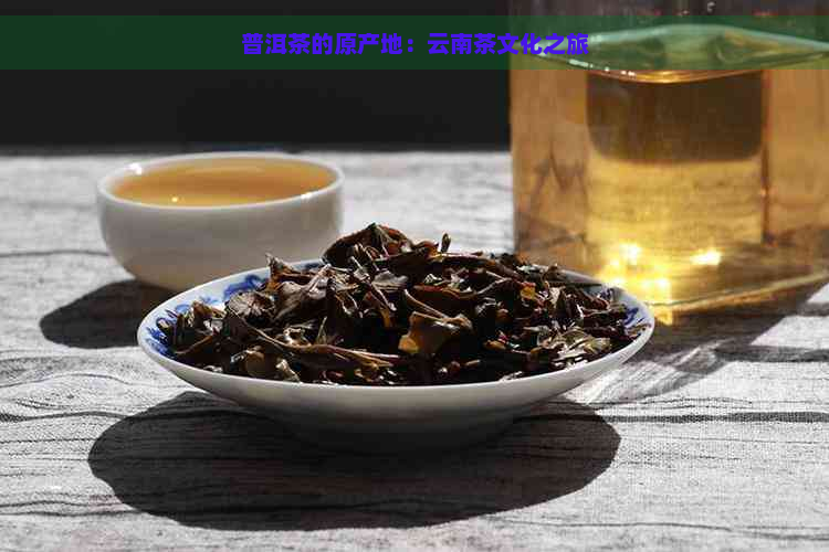 普洱茶的原产地：云南茶文化之旅