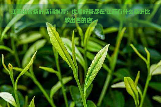 江西出名茶叶店铺推荐：优质好茶尽在'江西有什么茶叶比较出名的店'。