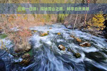 云南一日游：探秘雪山之巅，畅享自然美景