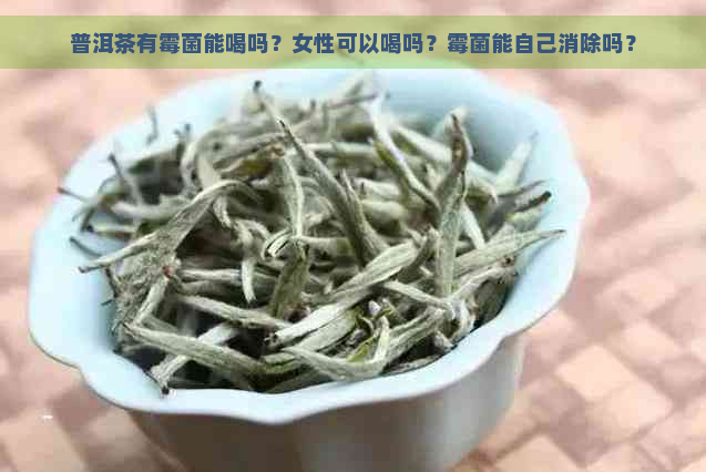 普洱茶有霉菌能喝吗？女性可以喝吗？霉菌能自己消除吗？