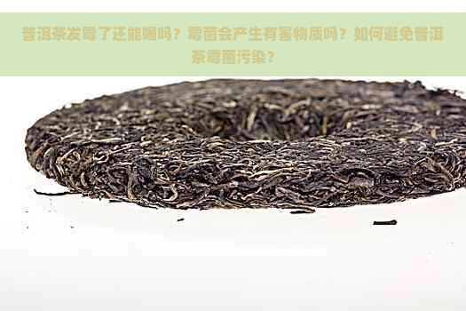 普洱茶发霉了还能喝吗？霉菌会产生有害物质吗？如何避免普洱茶霉菌污染？