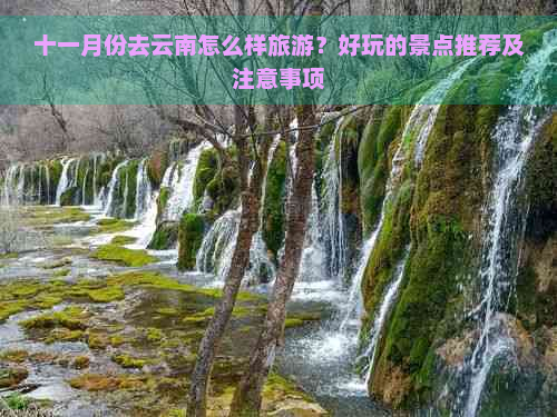 十一月份去云南怎么样旅游？好玩的景点推荐及注意事项