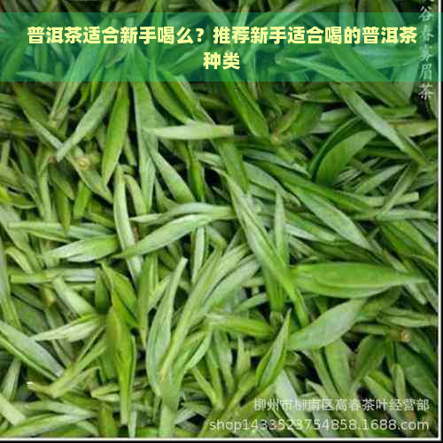 普洱茶适合新手喝么？推荐新手适合喝的普洱茶种类