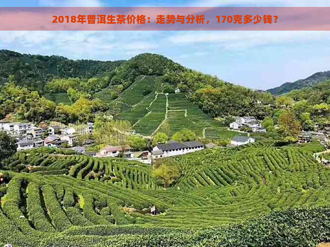 2018年普洱生茶价格：走势与分析，170克多少钱？