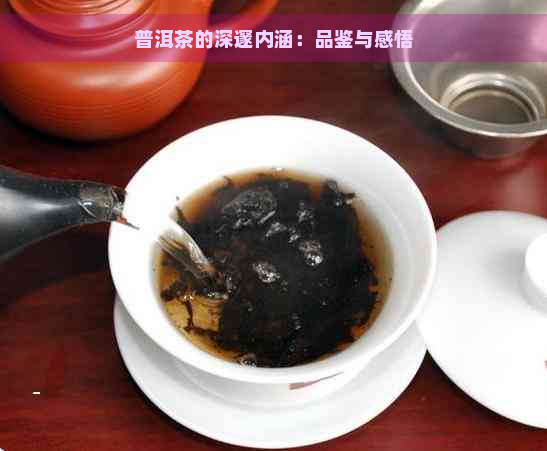 普洱茶的深邃内涵：品鉴与感悟