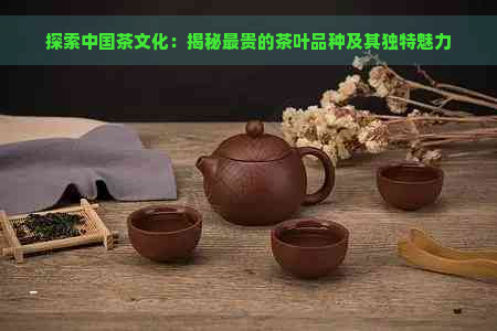 探索中国茶文化：揭秘最贵的茶叶品种及其独特魅力