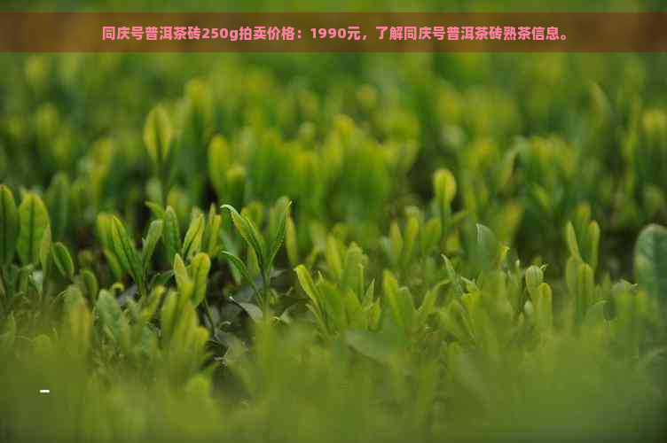 同庆号普洱茶砖250g拍卖价格：1990元，了解同庆号普洱茶砖熟茶信息。