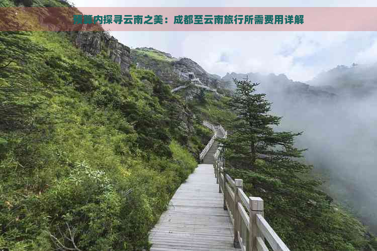 预算内探寻云南之美：成都至云南旅行所需费用详解