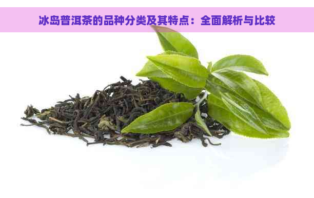 冰岛普洱茶的品种分类及其特点：全面解析与比较