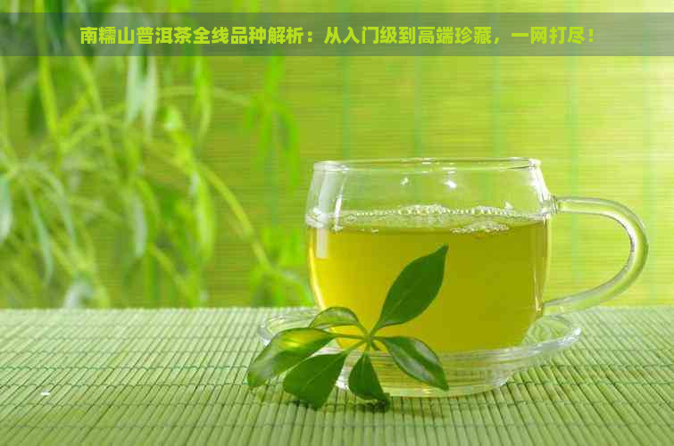 南糯山普洱茶全线品种解析：从入门级到高端珍藏，一网打尽！