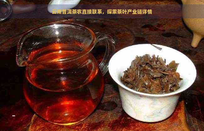 云南普洱茶农直接联系，探索茶叶产业链详情