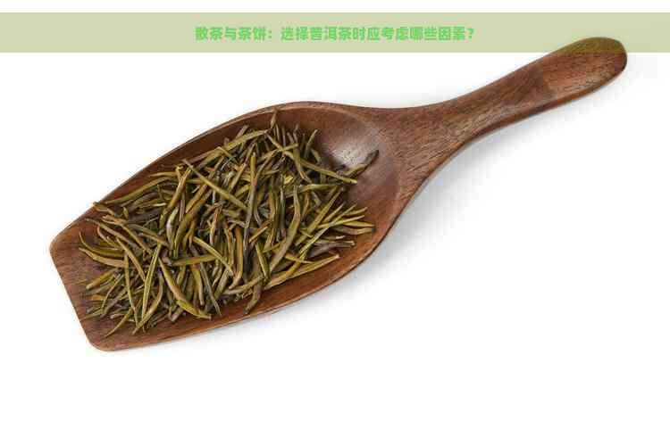 散茶与茶饼：选择普洱茶时应考虑哪些因素？