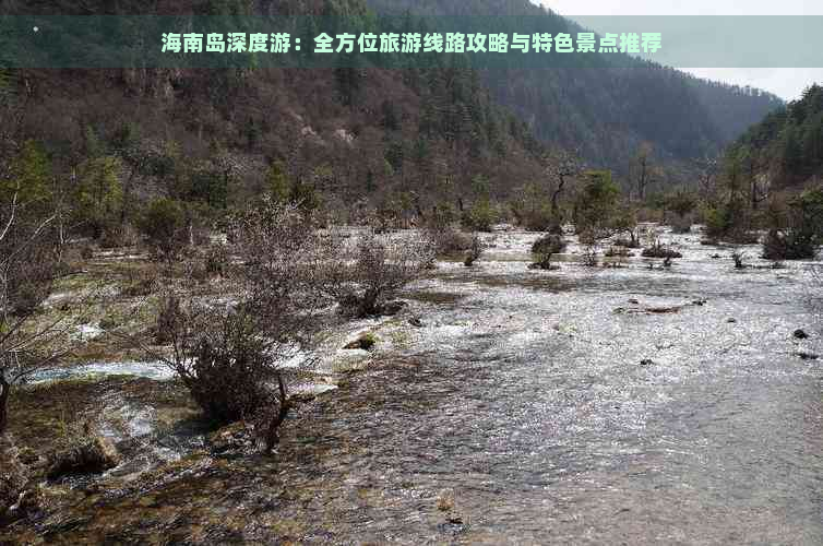 海南岛深度游：全方位旅游线路攻略与特色景点推荐