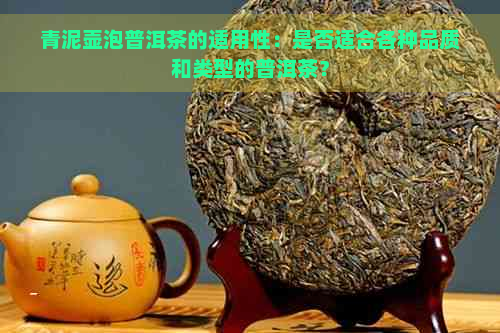 青泥壶泡普洱茶的适用性：是否适合各种品质和类型的普洱茶？