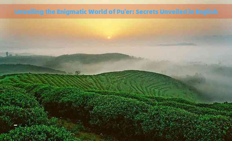 Unveiling the Enigmatic World of Pu'er: Secrets Unveiled in English