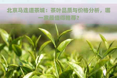 北京马连道茶城：茶叶品质与价格分析，哪一家最值得推荐？