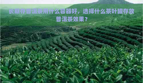 长期存普洱茶用什么容器好，选择什么茶叶罐存放普洱茶效果？