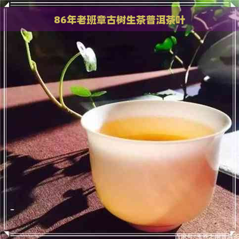 86年老班章古树生茶普洱茶叶