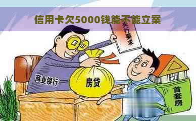 信用卡欠5000钱能不能立案