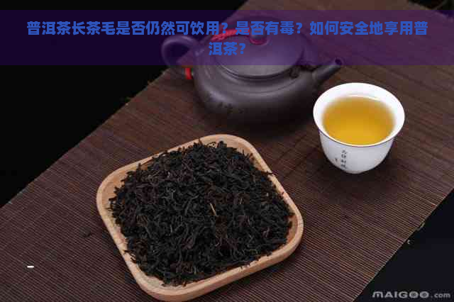 普洱茶长茶毛是否仍然可饮用？是否有？如何安全地享用普洱茶？