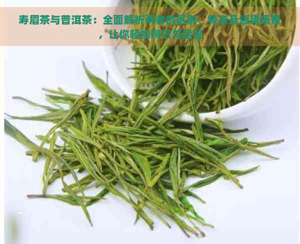 寿眉茶与普洱茶：全面解析两者的区别、特点及适用场景，让你轻松辨识与品鉴