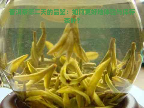 普洱茶第二天的品鉴：如何更好地体验与保存茶叶？