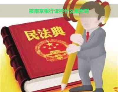 被南京银行诉控什么意思呢