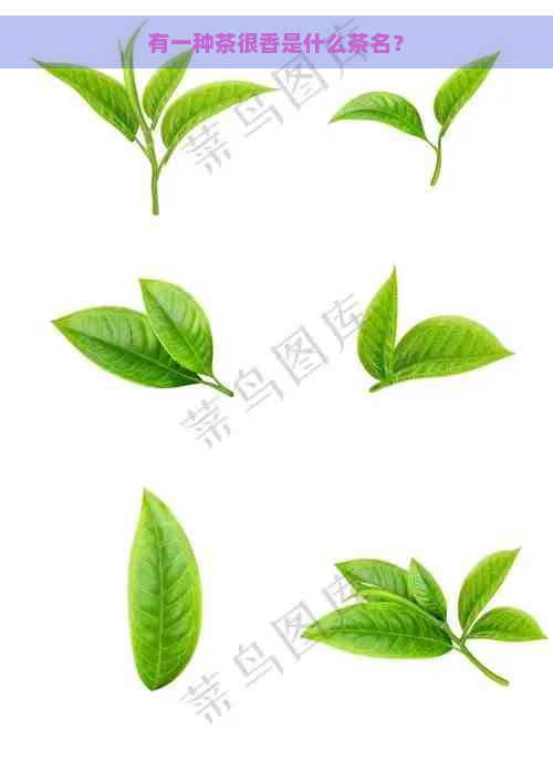 有一种茶很香是什么茶名？